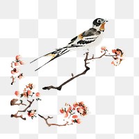 Swallow on a peach branch png on transparent background.   Remastered by rawpixel. 