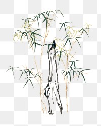 Japanese bamboo png on transparent background.   Remastered by rawpixel. 