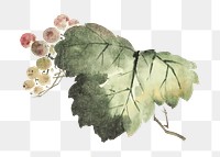 Hokusai’s Japanese leaf png on transparent background.   Remastered by rawpixel. 