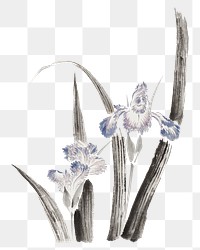 Hokusai’s Japanese iris flower png on transparent background .   Remastered by rawpixel. 