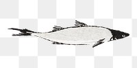 River trout fish png sticker, transparent background.    Remastered by rawpixel. 