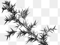 Japanese bamboo png on transparent background.    Remastered by rawpixel. 