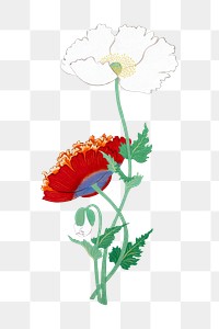 Japanese poppies png on transparent background.    Remastered by rawpixel. 