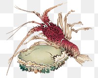 Lobster and Abalone png sticker, transparent background. Remastered by rawpixel. 
