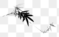 Japanese tree branch png sticker, transparent background.   Remastered by rawpixel. 