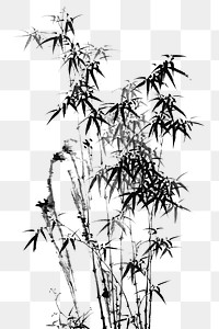 Japanese bamboo png on transparent background.    Remastered by rawpixel. 