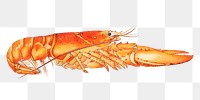 American lobster png sticker, transparent background.  Remastered by rawpixel. 