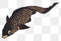 Koi fish png sticker, transparent background. Remastered by rawpixel. 