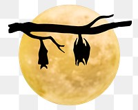 Moon & bats png sticker, Halloween design, transparent background