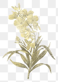 Wallflower illustration png sticker, transparent background