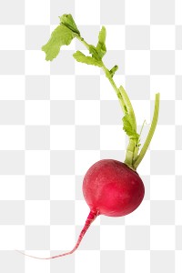 Radish png vegetable sticker, transparent background