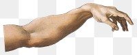 Adams hand png sticker, transparent background, famous painting, remixed from artworks by Michelangelo Buonarroti
