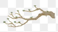 Tree branch png sticker, botanical illustration, transparent background