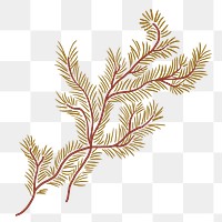 Leaf branch png sticker, botanical illustration, transparent background