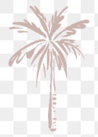 Palm tree png sticker, botanical line art transparent background 