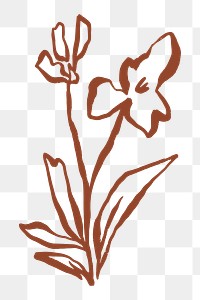 Flower png sticker, line art design on transparent background