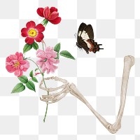 Skeleton arm png sticker, holding flowers, transparent background