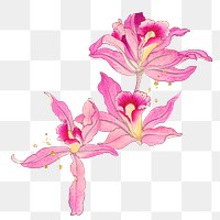 Png vintage flower illustration sticker, pink orchid, transparent background