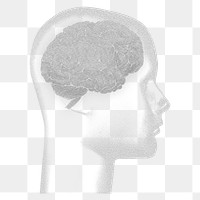 Human brain png sticker, transparent background