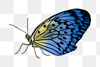 Blue butterfly png sticker, transparent background