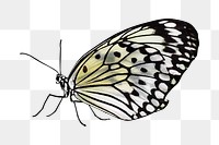 Gray butterfly png sticker, transparent background