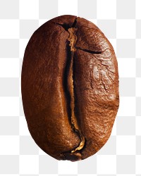 Coffee bean png sticker, transparent background