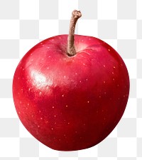 Red apple png sticker, transparent background