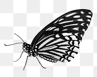 Black butterfly png sticker, transparent background