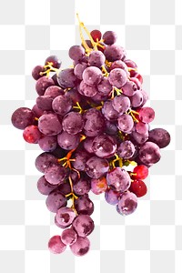 Red grapes png sticker, transparent background