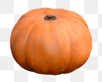 Organic pumpkin png sticker, transparent background