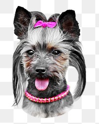 Yorkshire terrier dog png sticker, transparent background