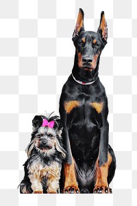 Png Doberman, Yorkshire dog sitting on transparent background