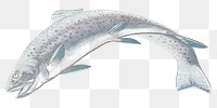 Trout fish png realistic sticker, negative color, transparent background