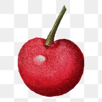 Cherry illustration png sticker, transparent background