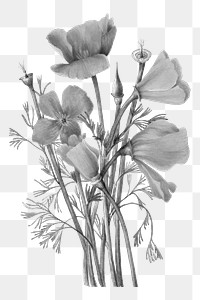 Gray flower illustration png sticker, transparent background