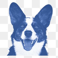 Welsh corgi png sticker, transparent background