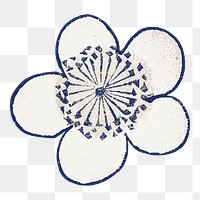 Cherry blossom png sticker, Japanese flower  on transparent background