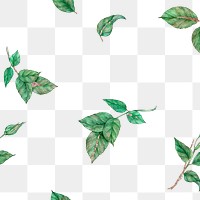 Green leaf png pattern overlay, transparent background