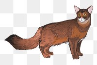 Png Somalis cat  animal illustration, transparent background