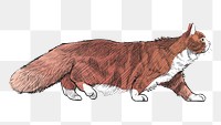 Png Siberian cat  animal illustration, transparent background