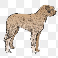 Png Irish Mastiff dog  animal illustration, transparent background