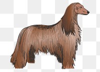 Png Afghan Hound dog  animal illustration, transparent background