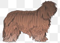 Png Briard dog  animal illustration, transparent background