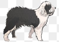 Png Old English Sheepdog  animal illustration, transparent background