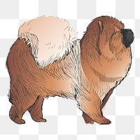 Png Chow Chow dog  animal illustration, transparent background