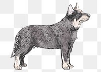 Png Cattle dog  animal illustration, transparent background