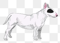 Png Bull Terrier dog  animal illustration, transparent background