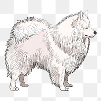 Png Spitz dog  animal illustration, transparent background