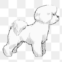 Png Bichon Frise dog  animal illustration, transparent background