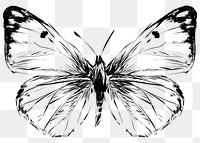 Png beautiful butterfly  animal illustration, transparent background